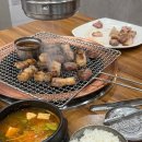 제주도야지 이미지