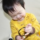 자연샘 Daum카페