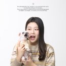스튜디오틸더스크 이미지
