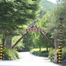 불정자연휴양림캠핑장 이미지