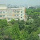 매헌초등학교 이미지