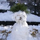 광신대학교 이미지