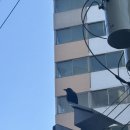 부일다방 | 2026년 1월 일상