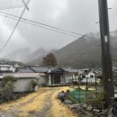 푸른온천목욕탕 | 유후인 온천 당일 추천, 아이랑 조용하게 즐기는 힐링 푸른빛 현지인 온천 및 가격