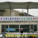 진남스포츠주