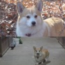 태리농장 이미지