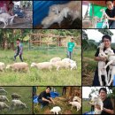 야곱목장2 이미지