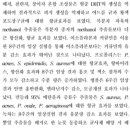 인동화장품