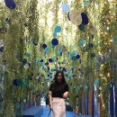 메스머라이즈 (Mesmerize) 이미지