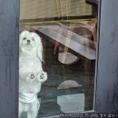 화동로R 이미지