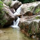 솔밭캠프 이미지