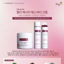 에스엔투