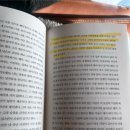[책 추전] 뱀의 말을 할 수 있는 사나이, 황금가지, 안드루스키비래흐크