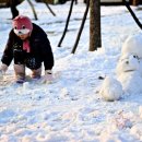 솔뜰캠핑장 이미지