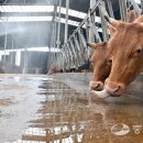 산우리농장 이미지