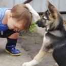 쓰담쓰담 이미지