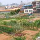 진포중학교 이미지