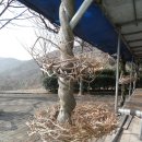 청도군-12 이미지