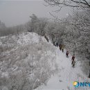 봄커뮤니케이션 이미지