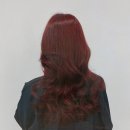 허니살롱 이미지