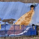 씨제이대한통운㈜ 이미지