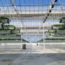 팜스테크 이미지