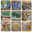 별빛가게 | 별내 맛집, '별빛칼국수 별내' 솔직후기
