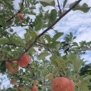 건이네 농장 이미지