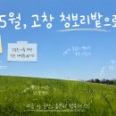 아리농장 | 고창 여행 필수코스, 5월초 학원농장 청보리밭 다녀왔어요