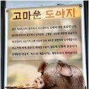 이동래고기국수 네이버블로그