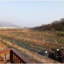 상왕농장 이미지