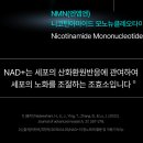 성머리 | 흰머리 새치 염색 안하고 먹는 흰머리영양제 NMN, 노화방지 영양제 가격 후기