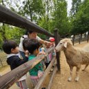 하이얀목장 이미지