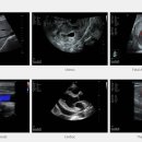 미르동물병원 이미지