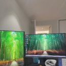 D-24 | LS24D400 사용후기 스펙 작업 만족 이유 총평