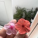 (주)돈까스클럽북수원 이미지