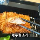 제주노조미 이미지