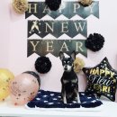 멍멍이 이발소 이미지