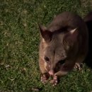 스페이스 호스텔 이미지