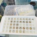 으뜸50 안경콘택트 건대점 이미지