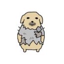 그린F5 동대문 본부 | [일상] 7월에 쓰는 6월일기.