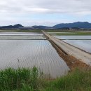 새로나 세탁소 이미지