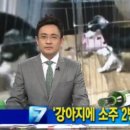 향소농장 이미지