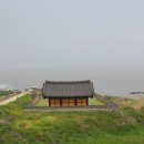 동백쉐이리 이미지