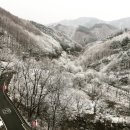 미술의 깊이를 더하다 네이버블로그