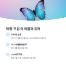 태풍으로인한 비피해없도록 대비하시길 바랍니다 이미지