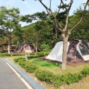 인삼골오토캠핑장 이미지