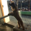 와니동물병원 이미지