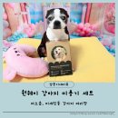저소음 미세진동 강아지클리퍼 원웨이 애견바리깡