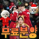 인천강아지분양 테디럽 | 광명강아지분양 테디럽 웃음 가득한 애견분양샵